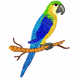Parrots Embroidery Design 1